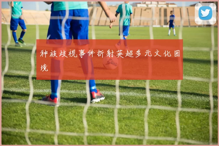 种族歧视事件折射英超多元文化困境