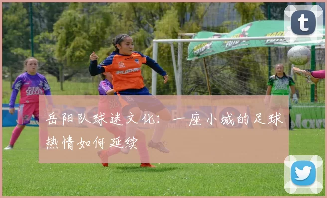 岳阳队球迷文化：一座小城的足球热情如何延续
