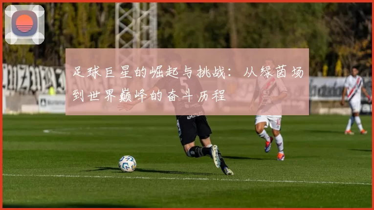 足球巨星的崛起与挑战：从绿茵场到世界巅峰的奋斗历程